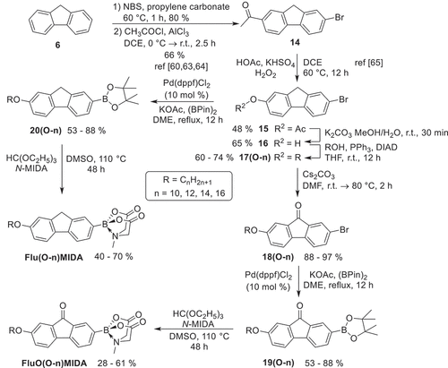 Scheme 3. Synthesis of the alkoxy-substituted fluorene or fluorenone MIDA boronates Flu(oO-n)MIDA, FluO(O-n)MIDA.