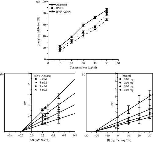 Figure 5. Effect of BVF-AgNPs on α-amylase enzyme activity. (a) Percentage inhibition of α-amylase activity by acarbose, B. variegata flower extract (BVFE) and B. variegata flower extract-mediated silver nanoparticles (BVF-AgNPs) synthesized at various concentrations are shown; (b) LB plot to understand the mode of inhibition by BVF-AgNPs; (c) Dixon’s plot for determining the inhibitor constant of BVF-AgNPs.