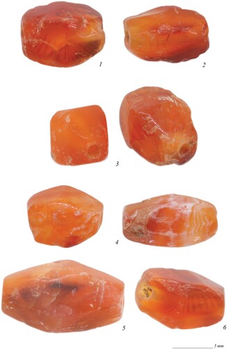 Figure 5. Examples of carnelian beads from Tomb N1-3: 1) bead BE21-144-014-028_F538; 2) bead BE21-144-014-028_F544; 3) bead BE21-144-014-033_F589; 4–5) beads BE21-144-014-033_F633-635; 6) bead BE21-144-014-033_F592-594 (photographs by J. Then-Obłuska and the Berenike Project).