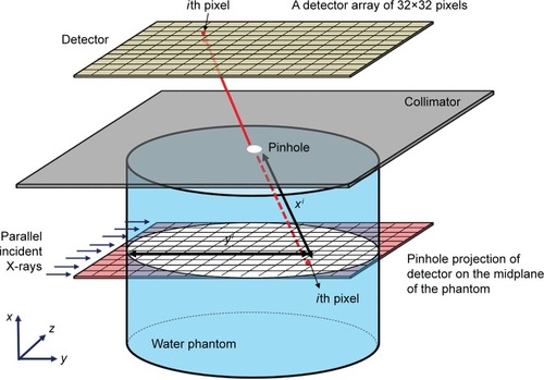 Figure 3 Schematic representation of pinhole XRF imaging system.Notes: The midplane of the water phantom was divided into 32×32 pixels, each of which had 1.6×1.6 mm2 area. yi is the path length of incident X-rays in the phantom, while xi is the path length of XRF photons of the ith pixel in the phantom.Abbreviation: XRF, X-ray fluorescence.