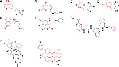 Figure 3 Structures of AvDs. Basic structures of (A) adenine nucleotide analog, (B) guanine nucleotide analog, (C) thymine nucleotide analog, (D) cytosine, (E) quinolones, (F) indoles, (G) thiazoles nucleotide analog; (H) baloxavir marboxil; (I) letermovir.