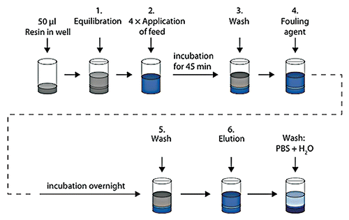 Figure 1 Schematic description of artificial fouling of MabSelect SuRe resin in PreDictor plates. Steps 1, 3 and 5 show equilibration or wash with PBS (20 mM phosphate, 0.15 M NaCl, pH 7.4). In step 2, which was repeated four times, E. coli lysate spiked with polyclonal IgG was added to the resin and incubation was done for 45 min. In step 4, a fouling agent composed of 2.9 M ammonium sulfate, 0.6 M phosphoric acid, pH 2.5 was added, followed by incubation overnight in order to accelerate the fouling of the resin. After a subsequent wash, the bound IgG was eluted with 0.1 M sodium citrate pH 3.0. The resin in the wells was mixed at every step and liquid was removed by centrifugation between each step. H2O, ultrapure water.