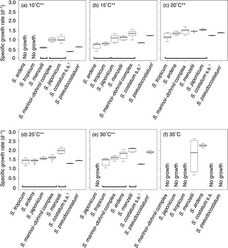 Fig. 3. Box plots of specific growth rates for seven Skeletonema species at six temperatures: (a) 10, (b) 15, (c) 20, (d) 25, (e) 30 and (f) 35°C. Data for all strains of each species (see Table 1) were pooled and plotted at each temperature. Asterisks beside the temperature and lines under plots indicate significant differences of specific growth rate among the tested species (Kruskal–Wallis test, P < 0.01; Steel–Dwass test, P < 0.01). Skeletonema costatum s.s. and S. pseudocostatum were excluded from the statistical tests, since their specific growth rates were obtained from only one strain.