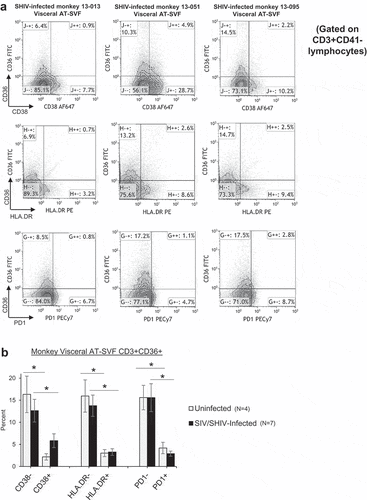 Figure 4. Predominant expression of CD36 by resting T cells in adipose tissue of rhesus monkeys. Visceral AT-SVF cells were prepared from uninfected and infected monkeys. AT-SVF CD3+ T cells were then examined for expression of CD36 in conjunction with CD38, HLA.DR, or PD-1 by flow cytometry. (a) Sample CD38/CD36, HLA.DR/CD36, and PD-1/CD36 flow cytometry dotplots (gated on CD3+CD41- T cells) of three SHIV-infected monkey AT-SVF cells. (b) Mean±sem CD36 expression by CD38-/+, HLA.DR-/+, and PD-1-/+ AT-SVF CD3+ T cells (*p < 0.05 comparing CD38-, HLA.DR-, or PD-1- cells to CD38+, HLA.DR+, or PD-1+ cells).