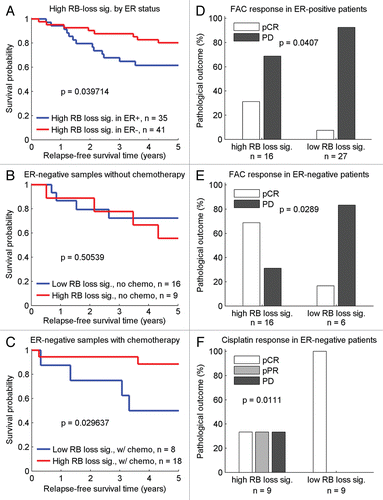 Figure 5 Disease outcomes related to the RB-loss signature and treatment regimens in the ER-negative population. (A) High RB-loss signature expression is associated with different outcomes in ER-positive vs. ER-negative. (B) High RB-loss signature expression is associated with similar survival profiles between ER-positive and untreated ER-negative samples. (C) Chemotherapy is associated with better outcome in ER-negative samples with high RB-loss signature expression. (D) The proportion of pCR and PD in high versus low RB-loss signature groups of ER-positive patients receiving FAC therapy. (E) The proportion of pCR and PD in high versus low RB-loss signature groups of ER-negative patients receiving FAC therapy. (F) The proportion of pCR, pPR and PD in high versus low RB-loss signature groups of ER-negative patients receiving cisplatin therapy.