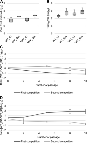 Fig. 2 Impact of the ISA method on replicative fitness. Viral loads in cell supernatant media, after one passage in Vero ATCC cells, were estimated using a real-time RT-PCR assay (molecular viral loads, a and a TCID50 assay (infectious titers), b. We then performed competition experiments c, d: WT and *WT viruses were mixed together to infect Vero ATCC cells. Cell supernatant media were passaged 10 times. The relative proportion of each virus was evaluated by sequencing a genomic fragment encompassing the differentiating position 4420. In a, b, the bottom and top of the box represent the first and third quartiles, the band inside the box represents the median value and error bars represent the minimum and maximum values. In c, d, the error bars represent the standard deviation