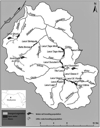 Figure 1. Study area location, wetlands, and distribution of breeding populations of Water Rails and Little Crakes in the Fizeş Basin, Romania.