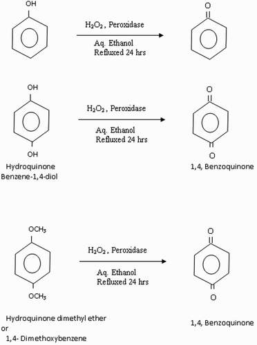 Figure 2. Bioconversion of phenolic compounds to quinone.