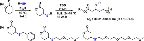 Figure 17. Synthesis and ring-opening polymerization of thioether-substituted δ-valerolactones.