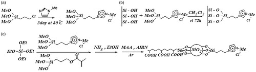 Figure 1. Synthesis route of (a) ImIL, (b) ImIL-MSNs and (c) ImIL-MSNs-PMAA.