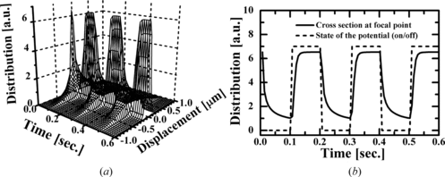 Figure 1 (a) Spatial distribution of the position of a Brownian particle constrained by the optical potential as a function of time and displacement from the focal point for a = 0.30 µm, w 0 = 0.71 µm, P = 1200 µW, and a switching rate of 5 Hz and (b) Cross section at the focal point of the distribution shown in (a).