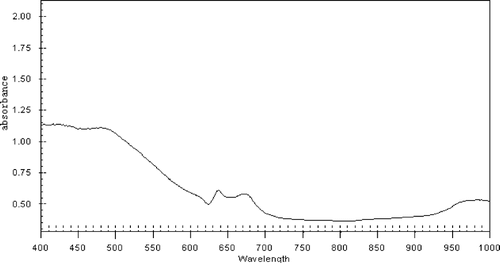 Figure 1 Vis/NIR absorbance curve of one strawberry.
