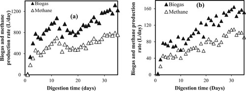 Figure 5. Daily biogas and methane production during food waste treatment using VUT-1000C (a) and STH-1000A (b) bioreactors at optimum conditions (Khune Citation2021).