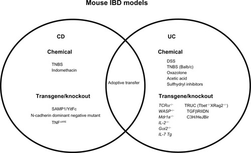 Figure 2 Mouse models of inflammatory bowel disease (IBD). Many mouse models are currently available that mimic the two major subtypes of IBD (Crohn’s disease [CD] and ulcerative colitis [UC]). Specific mouse models with characteristics of CD and/or UC are summarized.
