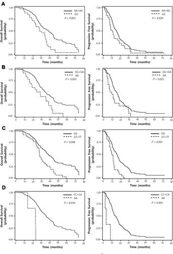 Figure 1 Overall survival and progression-free survival curves according to NUP62 rs9523A>G (A), DVL2 rs2074216 (B), ARF1 rs11541557 (C), and UHRF1 rs2261988 (D) genotypes. P values by multivariate Cox proportional hazard models.