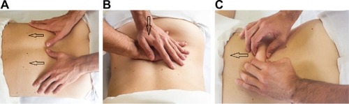 Figure 2 Traditional rehabilitative massage program.