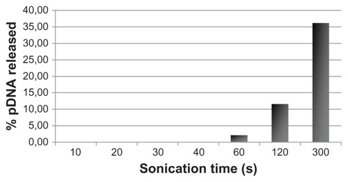 Figure 5 In vitro pDNA release from DNA-loaded chitosan nanobubbles after exposure to ultrasound.