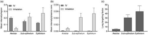 Figure 5. (a) Histogram of the mean intensity of salmeterol determined by MSI per segmented region, i.e. alveolar, sup-epithelium and epithelium, after inhalation or systemic dosing (n = 3) at 30 min after delivery. (b) The mean intensity in each region was normalized against the plasma concentration in respective administration group (n = 3). (c) The targeting factor is the ratio between inhalation and IV group in (b), in respective region, and it describes the gain with inhalation over systemic dosing at equivalent plasma concentrations.