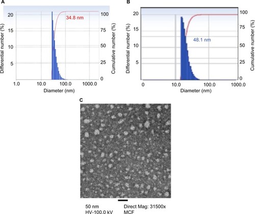 Figure 1 Particle size measurement by DLS and TEM.