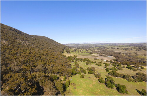 Figure 2. General view of Seven Creeks valley looking south, 21 June 2018. Garden Range 2 is located at the base of the tree line to the left of the white vehicle (photograph by Steve Micklethwaite).