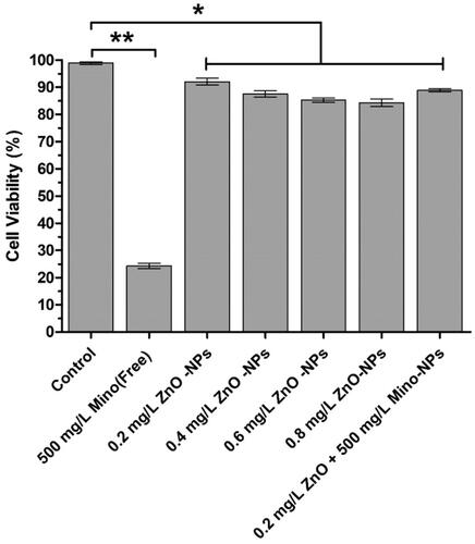 Figure 6. In vitro cytotoxicity of ZnO@Alb NPs and Mino-ZnO@Alb NPs against Gingival cells for 24 h. Each point represents mean ± SD (n = 3). *p < .05 compared with the control group, **p < .01 compared with the control group.