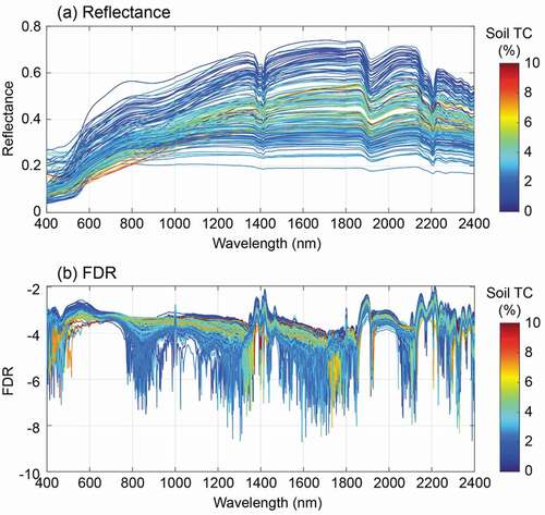 Figure 3. Raw reflectance spectra (a) and FDR spectra on a log10 scale (b) of the soil samples