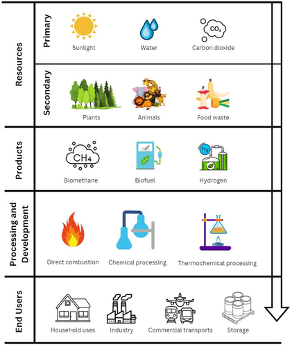 Figure 2. Strategies in different technologies involved in the biofuel productions.