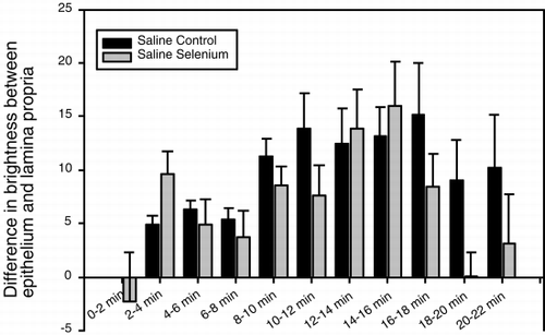 Figure 8. Histogram showing the difference in fluorescence intensity of dihydrorhodamine 123 between the epithelium and lamina propria of intestinal villi, after injection of saline in rats fed supplemental selenium or a normal diet. On the abscissa is plotted the time after injection in minutes.