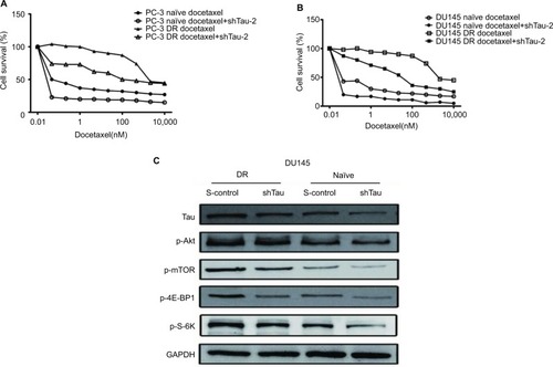 Figure 3 Combination of tau knockdown and docetaxel produces a synergistic cytotoxicity and PI3K/Akt/mTOR signaling pathway is involved.