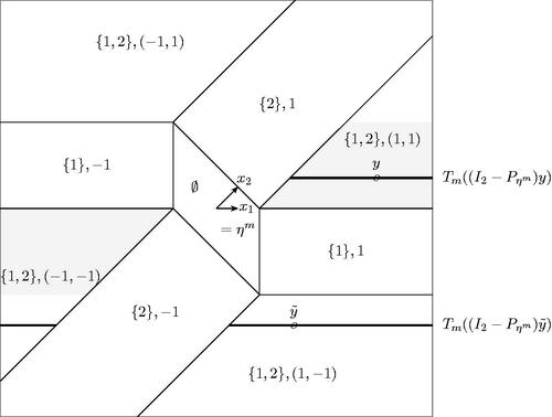 Fig. D1 For n = 2, the sample space R2 is partitioned corresponding to the model and the sign-vector selected by the Lasso when λ = 2 and X=(x1:x2), with x1=(1,0)′ and x2=(1,1)′. We set m={1,2} and γm=(1,1), so that ηm=x1. The point y lies on the black line segment {z+ηmv:v∈Tm(z)} for z=(I2−Pη)y, which is bounded on the left. In particular, Tm(z) is bounded. For the point y˜, the corresponding black line segments together are unbounded on both sides, and hence Tm((I2−Pηm)y˜) is unbounded.