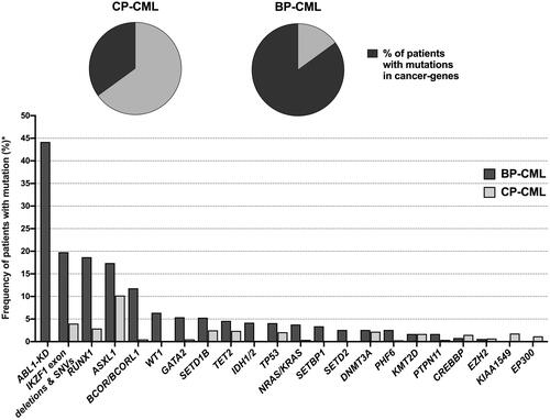 Figure 1. Frequency of mutations in cancer-associated genes at diagnosis (CP) and BP-CML. The data used to build the figure were derived from 27 studies of CP and/or BP [Citation38–54,Citation61,Citation63–71] and included genes that were reported to be mutated in more than one patient and in more than one study. *The frequency of patients with mutated genes was calculated in relation to the number of patients screened for each individual gene, which was highly variable between different genes.