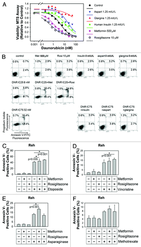 Figure 5. Differential effects of anti-diabetic medications on chemoresistance. (A) Data-fitted sigmoidal dose-response curves of daunorubicin (DNR) are shown. Cell viability relative to control was measured by MTS assay in Reh cells. The control (black) dose response curve was from cells treated with daunorubicin only. Metformin 500 μM (cyan) and rosiglitazone 10 μM (white with dash line) shifts the dose-response curve of daunorubicin to the left, indicating chemosensitization. Aspart (blue), glargine (red) and human insulin (green) (all at 1.25 mIU/L) shifts the dose-response curves to the right, indicating chemoresistance. (B) Reh cells were treated with metformin 500 μM, rosiglitazone 10 μM, human insulin 8 mIU/L, aspart 8 mIU/L or glargine 8 mIU/L in the absence or presence of daunorubicin 8 nM (IC25) or 32 nM (IC75) for 48 h. The percentage of apoptotic cells were measured using dual-staining flow cytometry with propidium iodide and annexin V-FITC. Representative scattergrams are shown as labeled. Metformin and rosiglitazone enhanced daunorubicin-induced apoptosis while insulin, aspart and glargine antagonized daunorubicin-induced apoptosis. (C) Reh cells were treated with control culture medium, metformin 500 μM or rosiglitazone 10 μM in the absence or presence of etoposide 0.1 μM for 72 h. Both metformin and rosiglitazone significantly (one-way ANOVA) increased the percentage of apoptotic cells in etoposide-treated cells. (D) Reh cells were treated with control culture medium, metformin 500 μM or rosiglitazone 10 μM in the absence or presence of vincristine 0.5 ng/ml for 72 h. Rosiglitazone significantly (one-way ANOVA) increased the percentage of apoptotic cells in vincristine-treated cells. (E) Reh cells were treated with control culture medium, metformin 500 μM or rosiglitazone 10 μM in the absence or presence of L-asparaginase 5 units/ml for 72 h. Metformin significantly (one-way ANOVA) increased the percentage of apoptotic cells in L-asparaginase-treated cells. (F) Reh cells were treated with control culture medium, metformin 500 μM or rosiglitazone 10 μM in the absence or presence of methotrexate 3 ng/ml for 72 h. Neither metformin nor rosiglitazone significantly (one-way ANOVA) increased the percentage of apoptotic cells in methotrexate-treated cells.