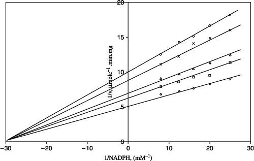 Figure 2 Lineweaver-Burk double reciprocal plot of initial velocity against NADPH as varied substrate and ZnSO4 (0.05–1 mM) as inhibitor at different fixed GSSG (0.7 mM) concentrations. ⋄ 0.7 mM GSSG (constant); □ 0.05 mM ZnSO4;Δ 0.1 mM ZnSO4;*0.5 mM ZnSO4;○ 1 mM ZnSO4.