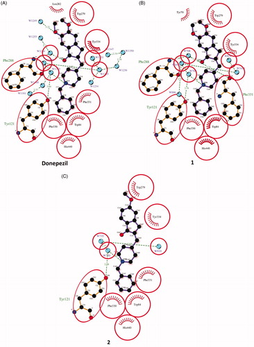 Figure 4. LigPlot + diagramsCitation64 illustrating the TcAChE–ligand interactions. Hydrophobic interactions are represented by red spokes radiating towards the ligand atoms they contact. Ligands are represented in purple. C, N, O, and atoms are represented in black, blue, and red, respectively. Water molecules are colored in cyan. The equivalent residues in TcAChE-donepezil, TcAChE-1 and TcAChE-2 are shown on the plots by red circles.
