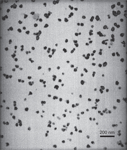 Figure 1 TEM image of Mn0.5Zn0.5Fe2O4 nanoparticles.