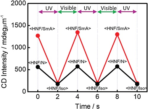 Figure 6. Absolute CD intensities at 300 nm for the <HNF/SmA> and <HNF/SmA> phases of the prepared mixture in the positive domains during alternating irradiation with UV and visible light for 2 s.