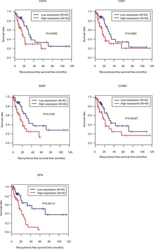 Figure 8 Kaplan–Meier analysis to display the correlation of differentially expressed genes with recurrence-free survival outcomes for patients with HBV-related HCC.Abbreviations: HBV, hepatitis B virus; HCC, hepatocellular carcinoma.