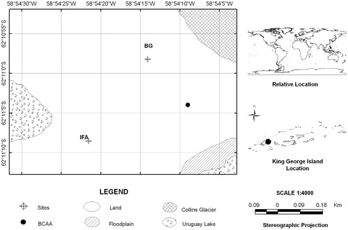 FIGURE 1. Map of King George Island showing the relative locations of the studied sites. BCAA = Base Científica Antártica Artigas, BG = boundary of the glacier, IFA = ice-free area. Digitalized image from the Letter 1111: Artigas Antarctic Scientific Base (Service of Oceanography, Hydrography and Meteorology of the Navy of Uruguay, 1991).