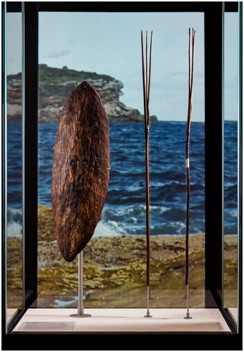 Figure 2. Encounters: Shield and Gararra (fishing spears) Gweagal people. Photo: Jason McCarthy, National Museum of Australia.