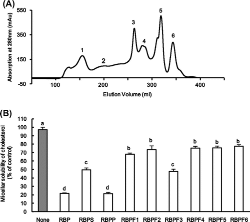 Fig. 1. The typical elution profile of RBP by HPLC and micellar solubility of cholesterol in vitro.
