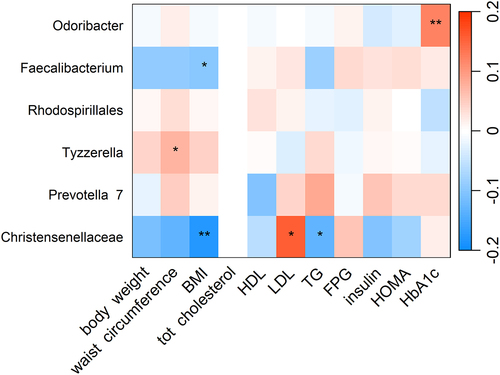 Figure 2. Heatmap showing the cross-sectional association between CQI-related genera and cardiovascular risk factors. Association tested by linear regression adjusted for recruiting center (Alicante, Barcelona, Reus, Valencia), smoking status (former smoker, never smoked, smoker), diabetes status, sex, age categories (below the median, < 65 years old; above the median, > 65 years old). For each cell, colors indicate the association coefficient with cardiovascular risk factors and asterisks denote significance. *p < 0.05; **p < 0.01. TG, triglycerides FPG, fasting plasma glucose; HDL, high-density lipoprotein; LDL, low-density lipoprotein; HOMA, homeostasis model assessment; HbA1c, glycated hemoglobin.