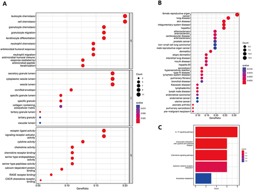 Figure 3 GO, KEGG, and DO were used to detect the biological functions, enrichment pathways, and main disease types of 57 differential genes. (A) Improved version: Bubble plots based on differential genes were created to display the top 10 significant GO analysis results in BP, CC, and MF. The vertical axis displays the GO term names, while the horizontal axis represents the proportion of genes. The size of the circle reflects the number of enriched genes in each GO term, whereas the color denotes the significance of enrichment. A redder circle implies greater enrichment of differential genes in the GO term. The filtering condition for selecting GO terms was an adjusted p-value of less than 0.05; (B) Improved version: A bubble plot was constructed to illustrate the enrichment analysis of differential genes using the DO. The vertical axis denotes illness type, and the horizontal axis represents gene proportion. The size of the circle indicates the number of enriched genes associated with each disease type, while the color denotes the significance of enrichment. A redder circle signifies a higher degree of differential gene enrichment; (C) Improved version: A bubble plot was used to visualize the results of the KEGG enrichment study on differential genes. The names of the pathways are shown on the vertical axis, and the number of enriched genes in each pathway is shown on the horizontal axis. The color indicates the degree of enrichment, with a darker shade suggesting a greater degree of enrichment of differential genes in the pathway.