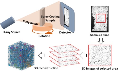 Figure 6. Schematic of Micro-CT scanning and reconstruction of 3D images.