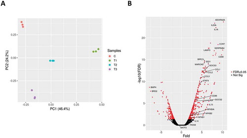 Figure 1. (A) Principal component analysis was applied to transcriptomic profiles of the uninfected THP-1 macrophages (C; red circles) and B. pertussis-infected THP-1 macrophages harvested 2 h (T1, green circles), 6 h (T2, blue circles) and 24 h (T3, cyan circles) pi. Each dot represents an independent biological replicate. (B) Volcano plot showing the global transcriptional changes in the infected THP-1 cells 6 h pi. The red dots represent significantly differentially expressed genes, labelled genes are discussed in this work. The black dots represent nonsignificantly modulated genes.