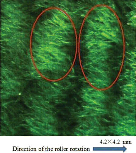 Figure 2. Snapshot of the cotton rubbing piles in contact with the substrate. Photographed with a high-speed camera.