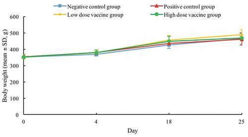 Figure 4. Body weight changes of guinea pigs among negative control, positive control, low-dose vaccine, and high-dose vaccine groups