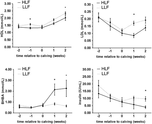 Figure 1. Comparison of patterns of HDL, LDL, BHBA and insulin concentrations (mean ± SE) in serum of HLF cows (subgroup – high liver fat cows, determined 2 weeks PP) and LLF cows (subgroup – low liver fat, determined 2 weeks PP), from week 2 AP until week 2 PP. *significant difference (p < .05) between subgroups. HDL: high density lipoproteins; LDL: low density lipoproteins; BHBA: β-hydroxybutyrate; HLF: high liver fat; LLF: low liver fat.