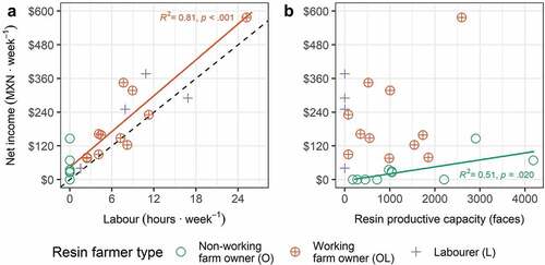 Figure 6. Bivariate analyses between farmer income and key endowments in resin extraction for the study period (Mar. 2018–Feb. 2019). (a) Labour is a significant predictor of net income to working farm owners (OL), and resin extraction generates higher daily earnings on average (solid regression line) than the local upper wage for hired labour ($120 MXN per 6 h workday, dashed line). (b) Resin productive capacity alone is a significant predictor of net income to non-working farm owners (O). Net income and labour are annual averages scaled to per-week values