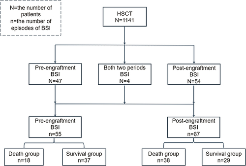 Figure 1 Diagram of patients’ grouping process of BSI after HSCT.
