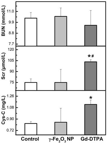 Figure 7 Measurement of the biochemical factors (BUN, Scr and Cys-C) from serum of mice. Data are presented from a representative experiment (mean ± SD, n = 3). Statistical analysis was performed with one-way ANOVA followed by least-significant-difference (LSD) post hoc test for BUN, Scr. Statistical analysis was performed with one-way ANOVA followed by Dunnett-T3 post hoc test for Cys-C. *P < 0.05, compared with control, #P < 0.05 compared with γ-Fe2O3 NP group.